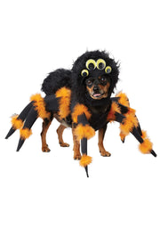 California Costumes déguisement spider pup vue avant, look amusant pour photos