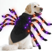 Camlinbo costume araignée devant montrant silhouette festive et visibilité