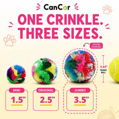Cancor Innovations comparaison de taille, facile à retrouver