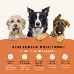 CANIDAE chiot adulte et senior mangeant ensemble, illustrant compatibilité multi-âges