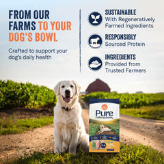 CANIDAE morceaux de poulet élevé en liberté source de protéines de qualité