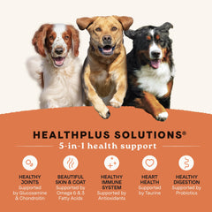 CANIDAE ingrédients visibles poulet dinde agneau poisson pour nutrition complète