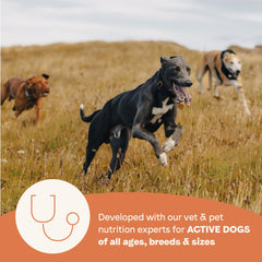CANIDAE étiquette produit détaillée pour informations nutritionnelles claires