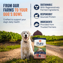 CANIDAE détail de la texture des croquettes pour digestion facilitée