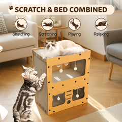 Canwyr chat utilisant la cachette pour calme et confort