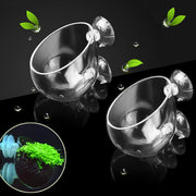 capetsma pot en verre face avant montre clarté et élégance
