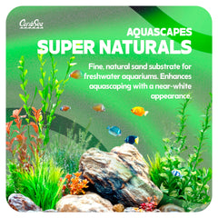 CaribSea gros plan sur grains de Moonlight Sand, texture fine favorise enracinement