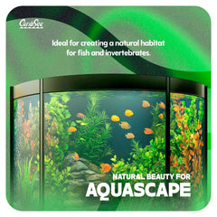 CaribSea Moonlight Sand autour des racines de plantes, stabilise et sécurise l'ancrage