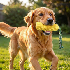 Carllg détail du sifflet intégré attirant l'attention du chien