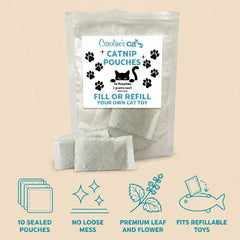 Caroline's Cats sachet inséré dans un jouet oiseau pour stimulation sans désordre