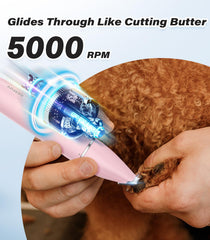 Casfuy en usage sur patte de chien pour retouches rapides et sans stress