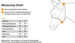 Cashel Crusader sur cheval au pâturage démontrant protection contre les mouches