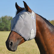 Cashel Crusader vue avant sur tête de cheval protégeant yeux et cils confort