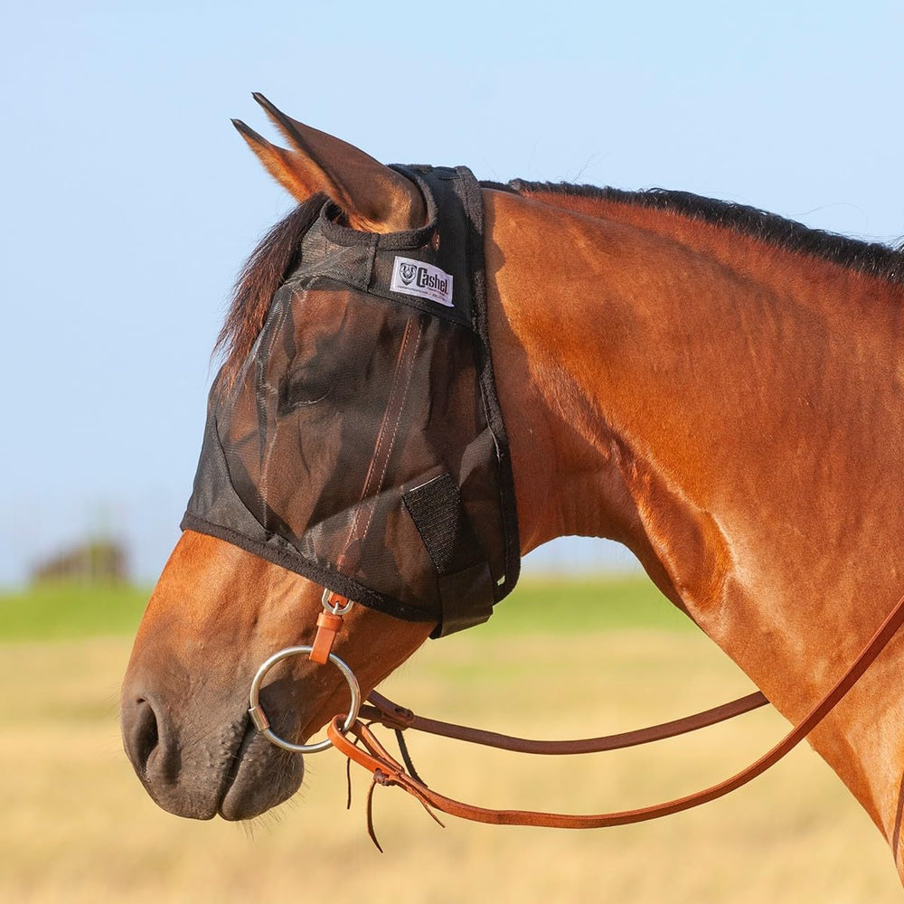 Cashel masque Quiet Ride face avant montrant maintien confortable