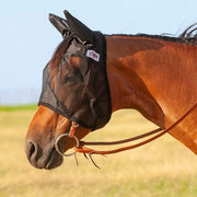 Cashel masque face avant sur cheval montrant protection et ajustement confortable
