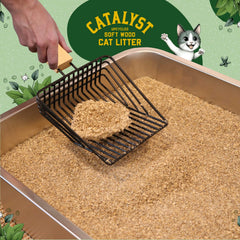 Catalyst texture gros plan des fibres de bois offrant absorption naturelle