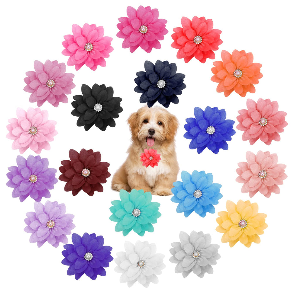 Catcan fleur collier vue avant, ajoute élégance sans gêne