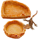 CATENEED gamelle face avant réaliste pour terrarium, esthétique naturelle