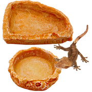 CATENEED gamelle face avant réaliste pour terrarium, esthétique naturelle