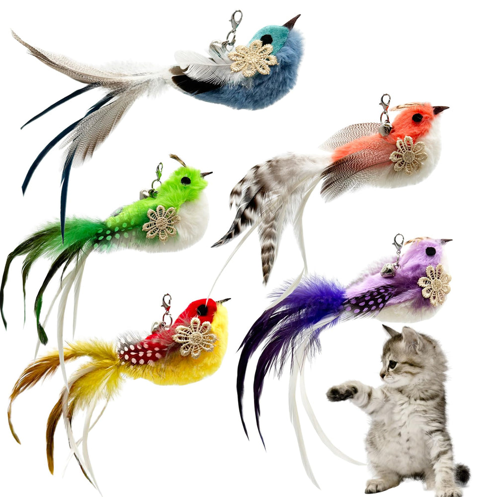 CATENEED vue frontale des 5 plumes en emballage, attractivité visuelle