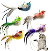 CATENEED vue frontale des 5 plumes en emballage, attractivité visuelle