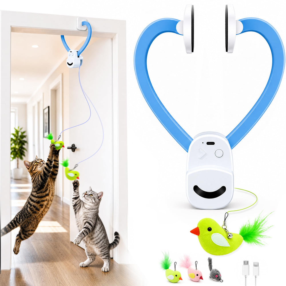 CATPICK vue avant du jouet fixé montrant stabilité et attrait