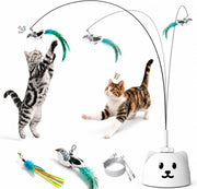 Catpick joy face avant montrant le produit et ses accessoires, attirant l'œil