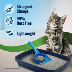Cat's Pride gros plan sur texture des grains pour meilleure agglomération