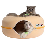 Cattasaurus vue avant du produit montrant design et rangement