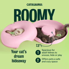 Cattasaurus tunnel intérieur avec chat stimulant activité ludique