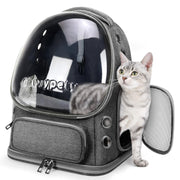 Cawypety coque bulle avant offrant visibilité et confort pour le chat