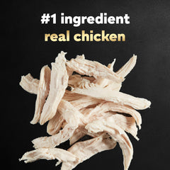 Cesar dans une assiette poulet et haricots verts appétissant