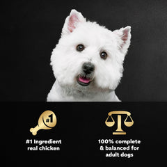 Cesar bol poulet ouvert montrant texture tendre et fraîcheur