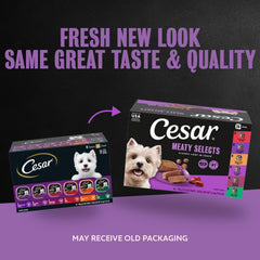 Cesar pack de 36 barquettes pour une réserve pratique et économique