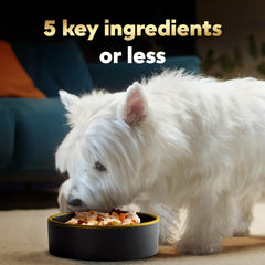 Cesar poulet portion ouverte servie pour chien, rend le repas plus appétissant