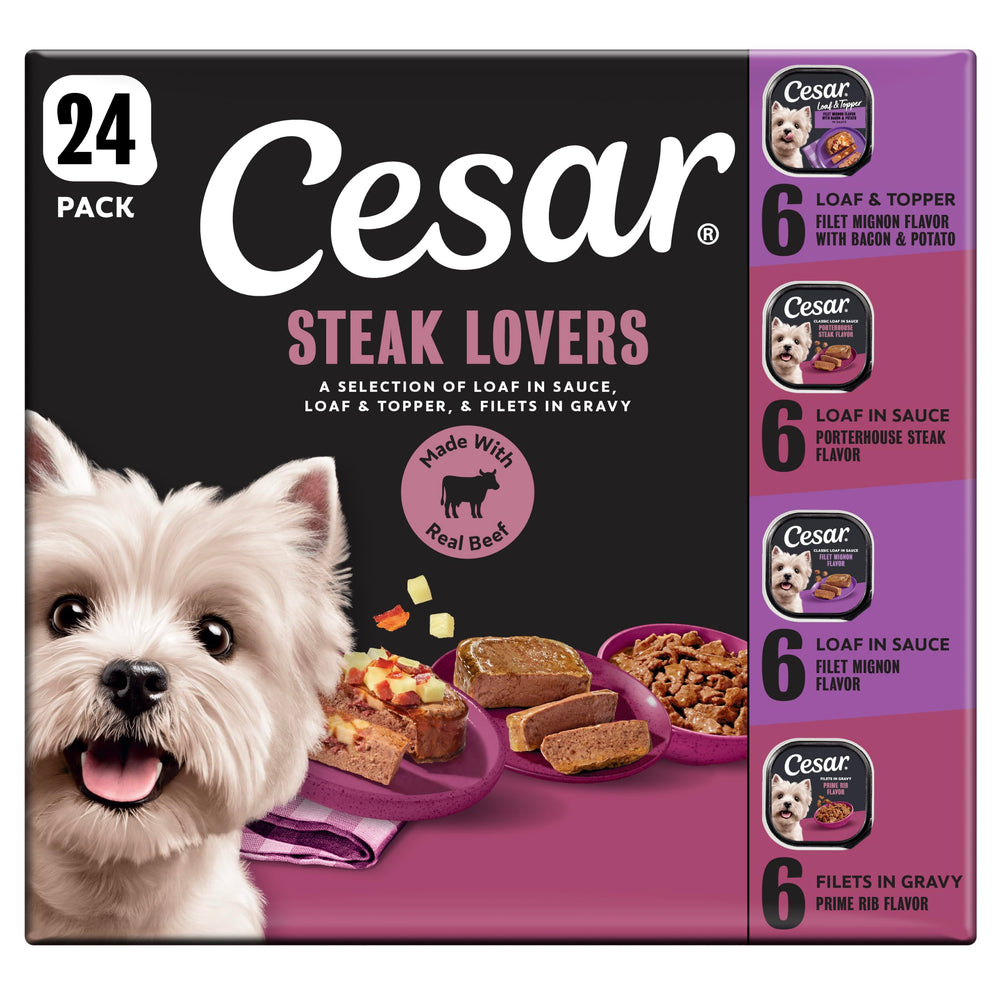 Cesar pack avant montrant barquettes pratiques et appétence