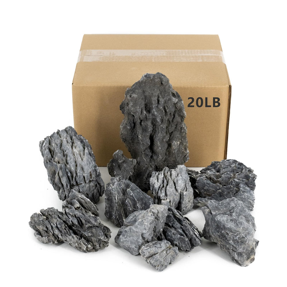 ChaoLeHo rochers Seiryu paquet fermé montrant quantité et taille utile