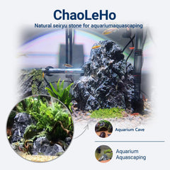 ChaoLeHo Seiryu gros plan sur texture naturelle pour esthétique détaillée