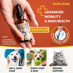 CHARLIE & BUDDY huile texture claire illustrant absorption rapide et mélangeable