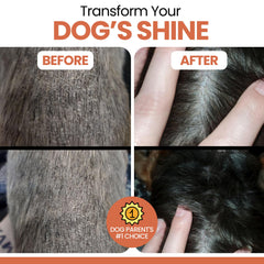 Chew + Heal Labs chiot acceptant la pastille, montre forte appétence
