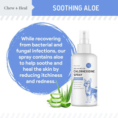 Chew + Heal Labs texture du spray montrant une formule non grasse