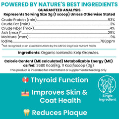 Chew + Heal Labs gros plan granules de kelp montrant texture et pureté