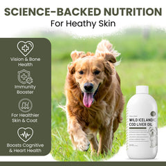 Chew + Heal Labs texture huile montrant gouttes claires et consistance douce