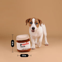 CHEWFFON chien en train de renifler et extraire une friandise, encourage l'activité mentale