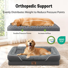 Chez Paw coupe mousse alvéolée montrant soutien ergonomique et répartition poids
