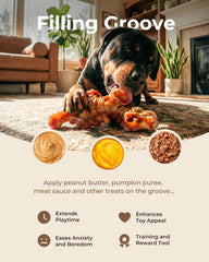 ChienBox DinoBone en usage chien mordant pour occupation sûre