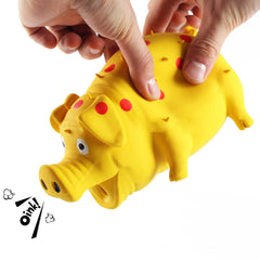ChubbyPiggies porcelet tenu en main illustrant taille et échelle pratique