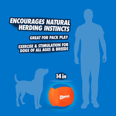 Chuckit! balle en usage dans jardin avec chien poussant, stimulation active