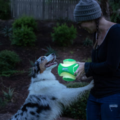 Chuckit! comparaison de taille de la balle 20 cm montrant l’échelle pour chien
