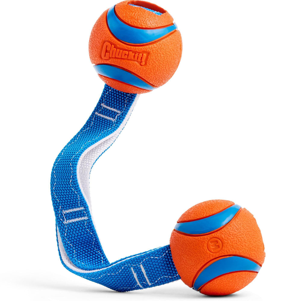 Chuckit! vue de face du duo tug orange et bleu montrant design et visibilité